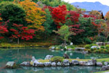天龍寺曹源池庭園と多宝殿