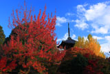 真如堂の法華塔