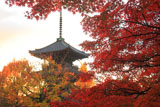 真如堂の紅葉と三重塔