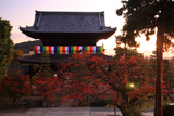 金戒光明寺 桜紅葉と三門