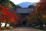 醍醐寺仁王門