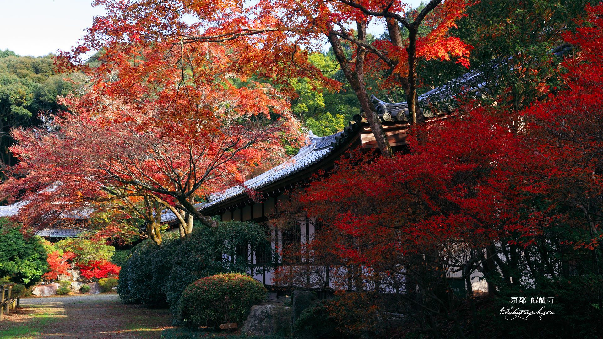 醍醐寺伝法学院の紅葉