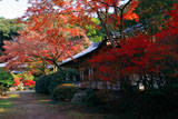 醍醐寺伝法学院