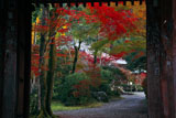 醍醐寺下醍醐の紅葉