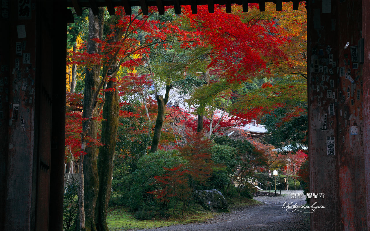 醍醐寺下醍醐の紅葉 壁紙