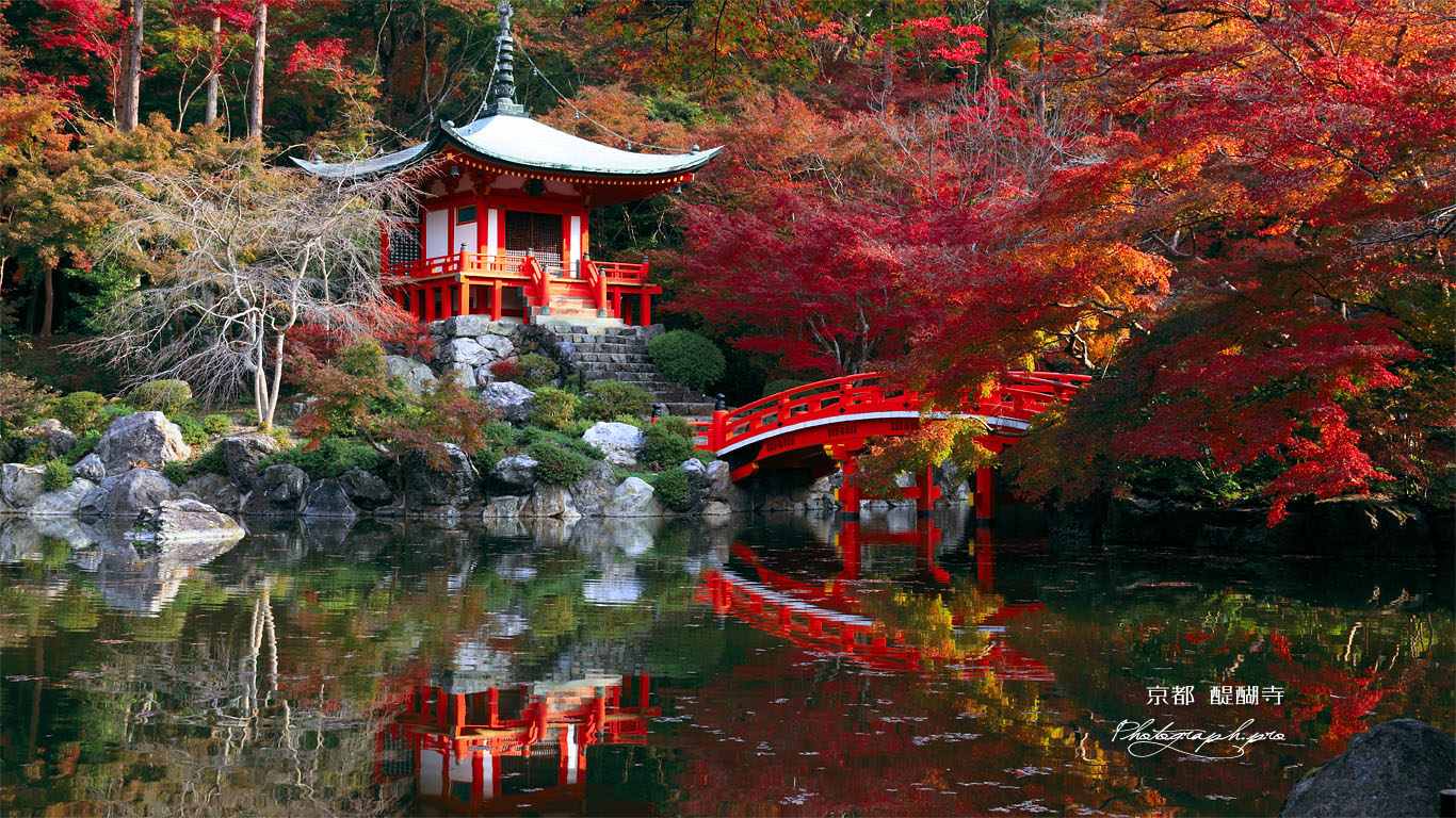 醍醐寺弁天堂 壁紙