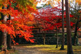 醍醐寺大講堂