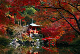 醍醐寺の紅葉