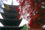 醍醐寺五重の塔