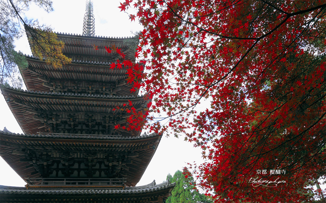 醍醐寺五重の塔 壁紙