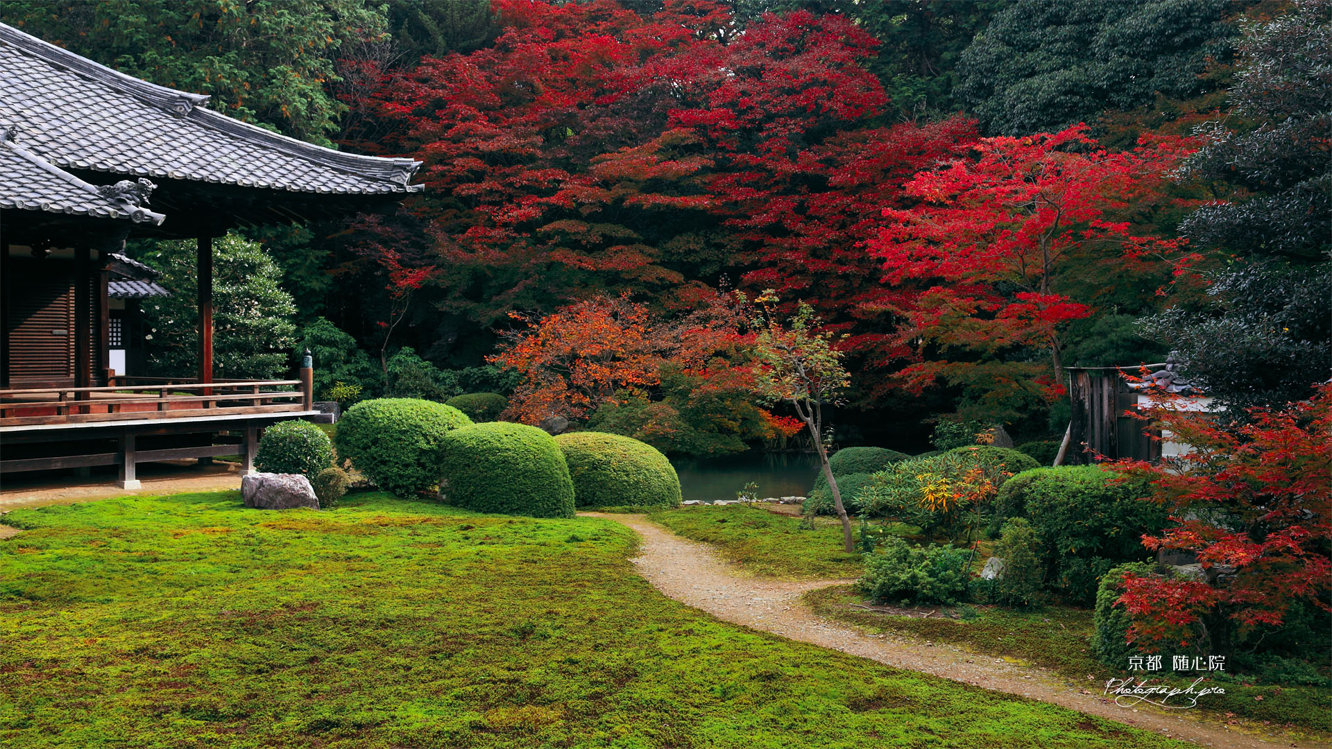 紅葉の随心院庭園