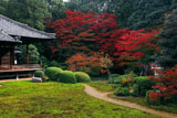 紅葉の随心院庭園