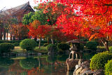 東寺庭園の紅葉