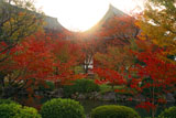 東寺金堂と講堂