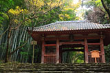 京都勝持寺 黄葉の仁王門