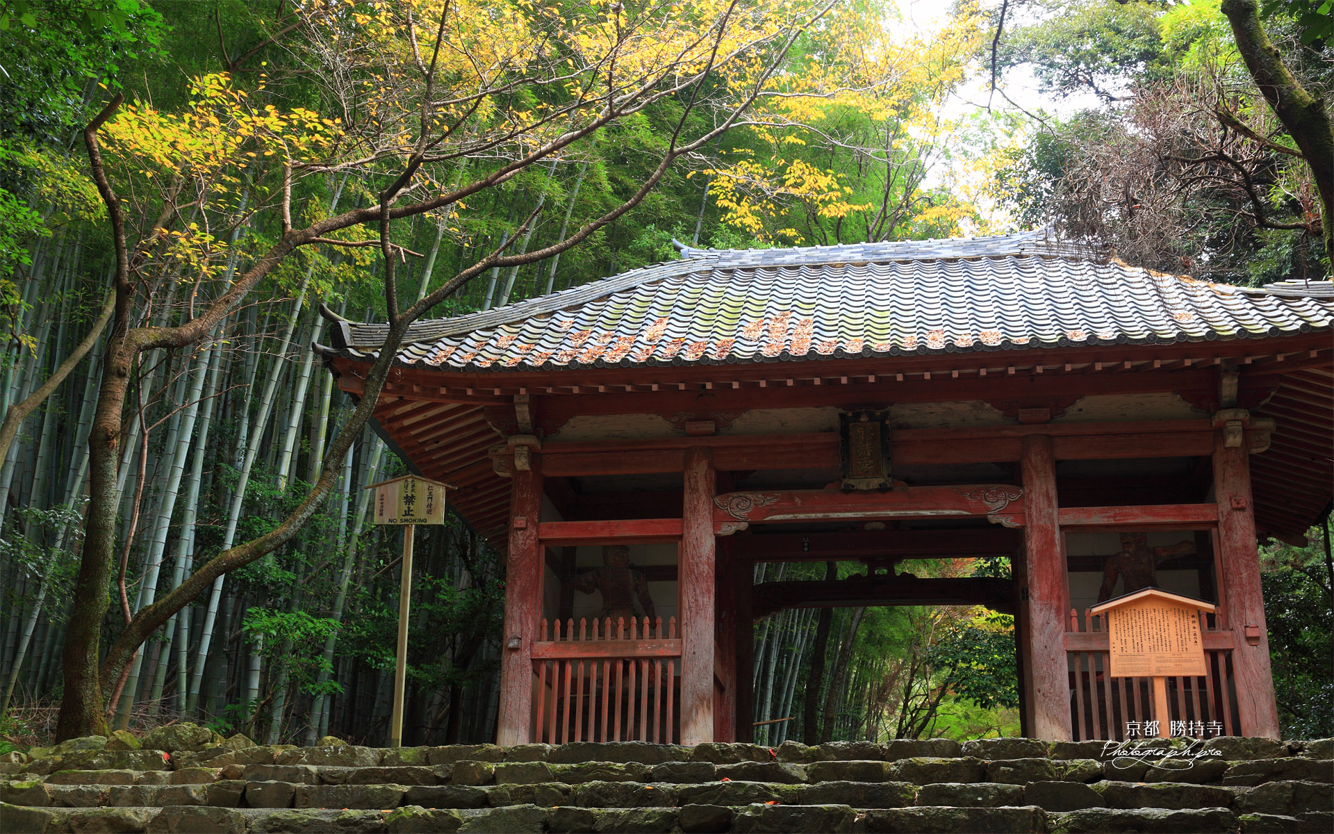 京都勝持寺 黄葉の仁王門