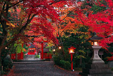 大原野神社