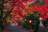 大原野神社