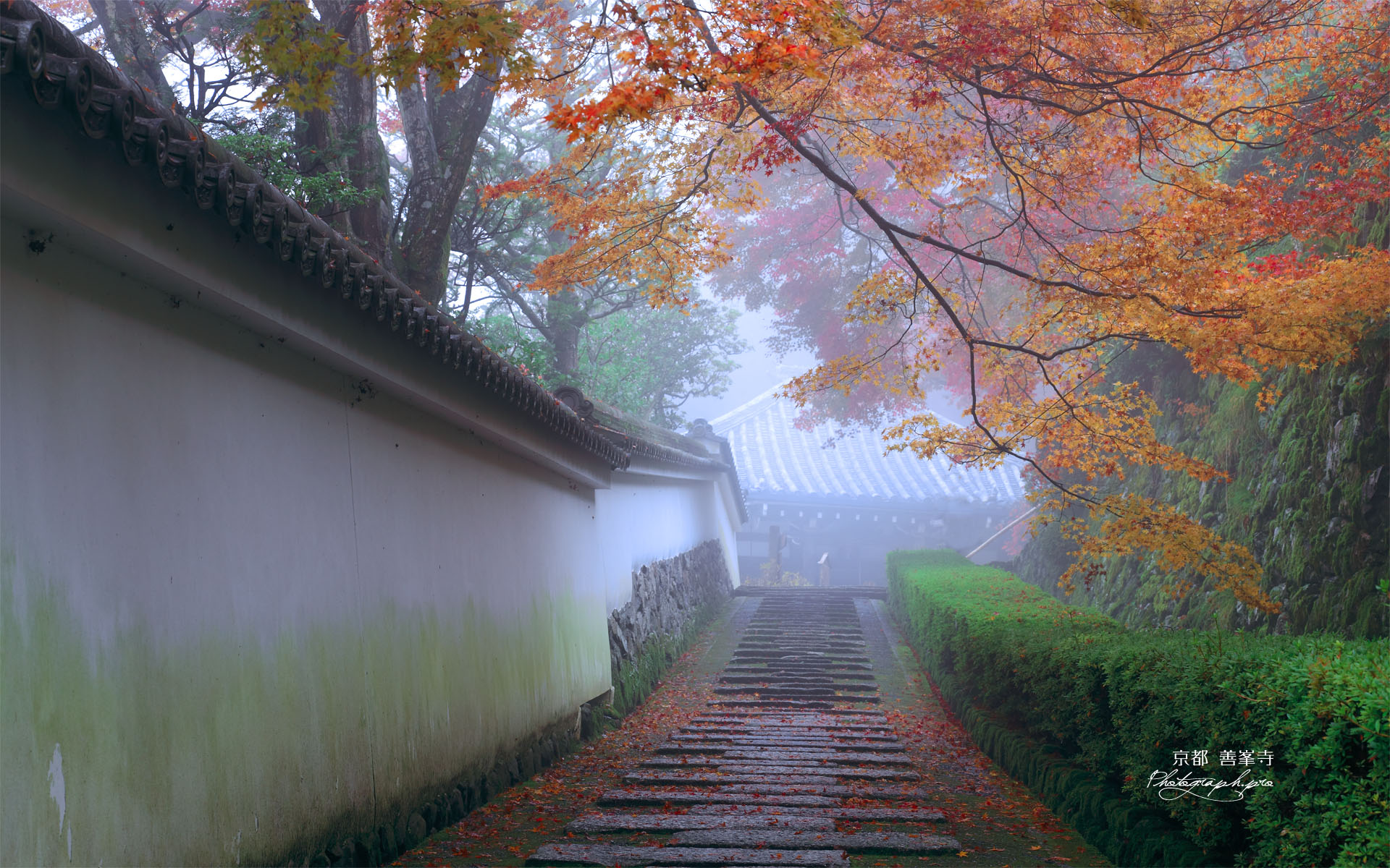 霧の善峯寺阿弥陀堂