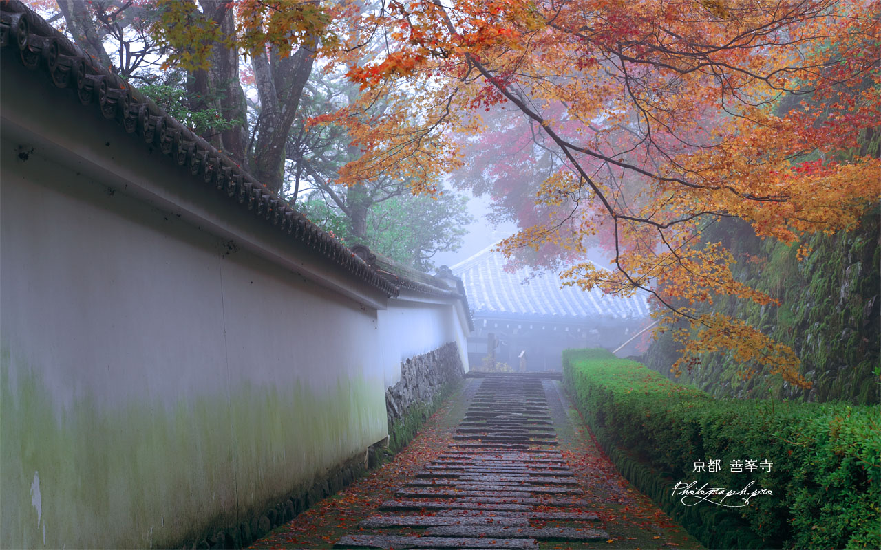 霧の善峯寺阿弥陀堂 壁紙