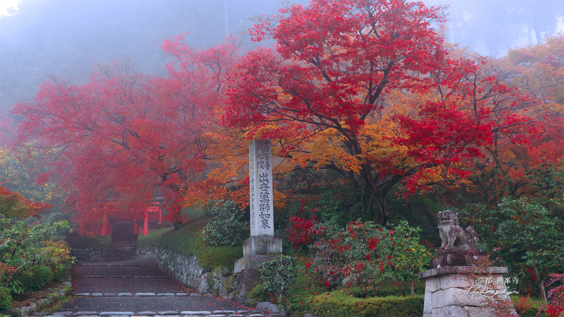 善峰寺奥の院への路