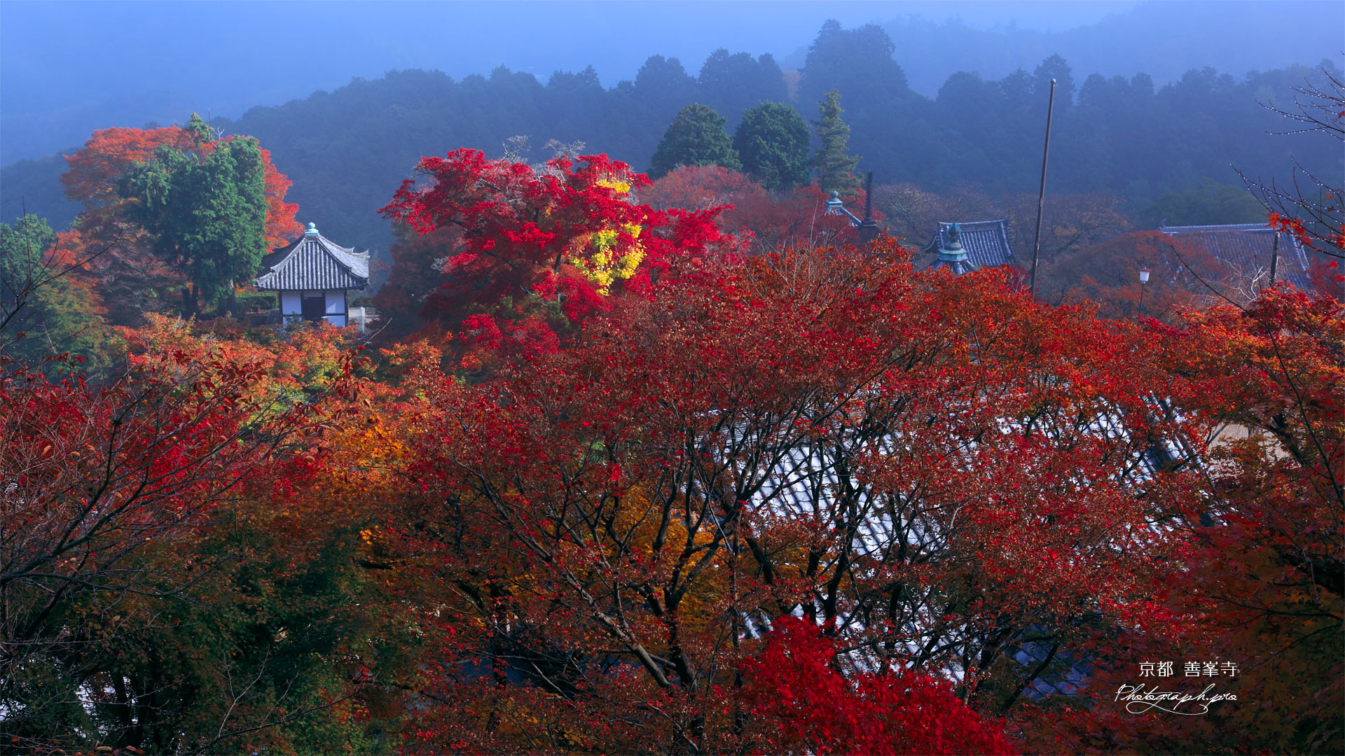 善峯寺開山堂燃える