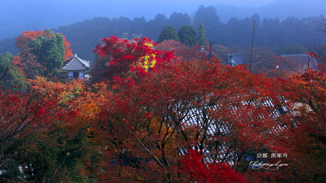 善峯寺開山堂燃える 壁紙
