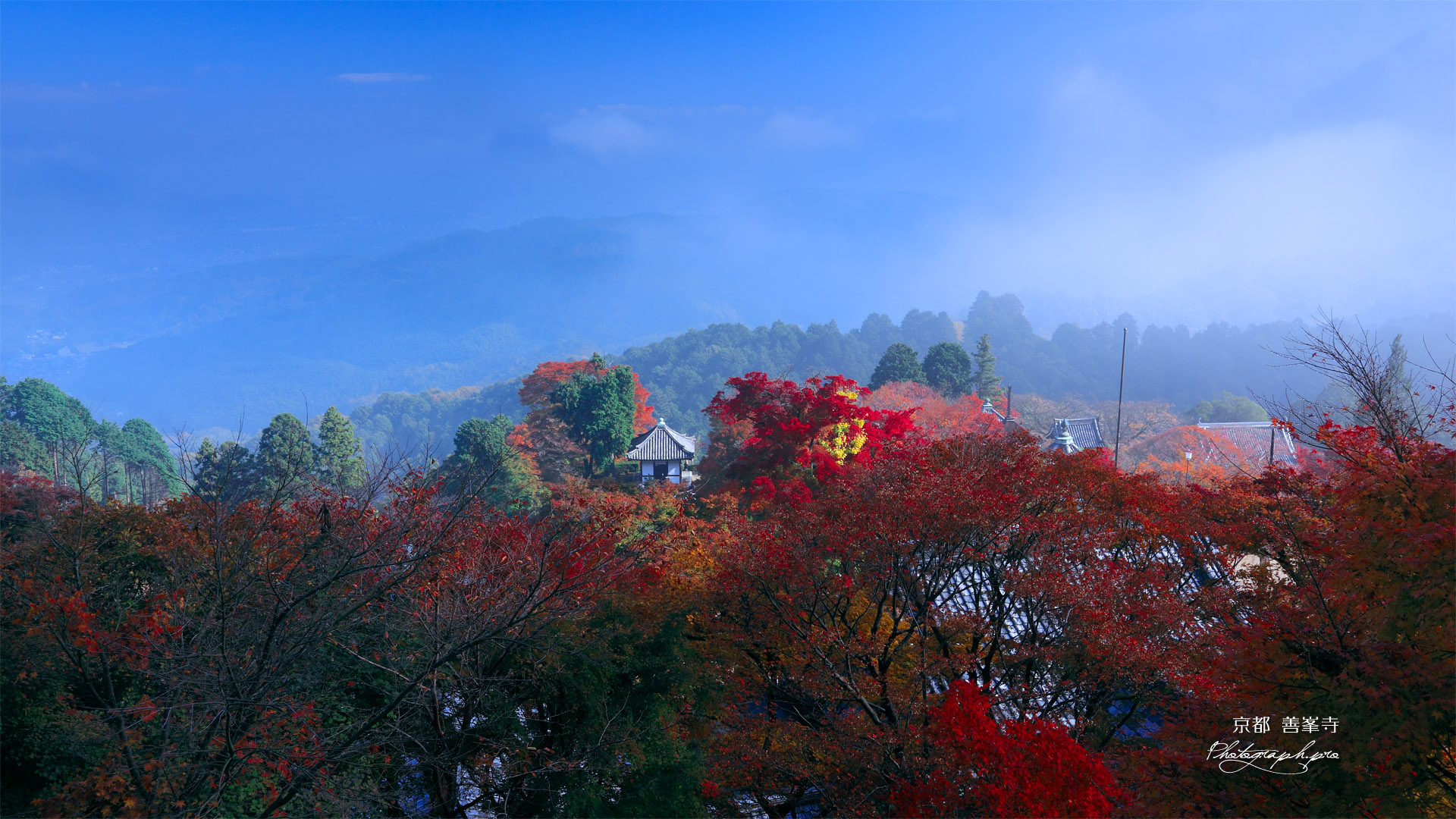 善峯寺の霧がとれて