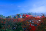 善峯寺