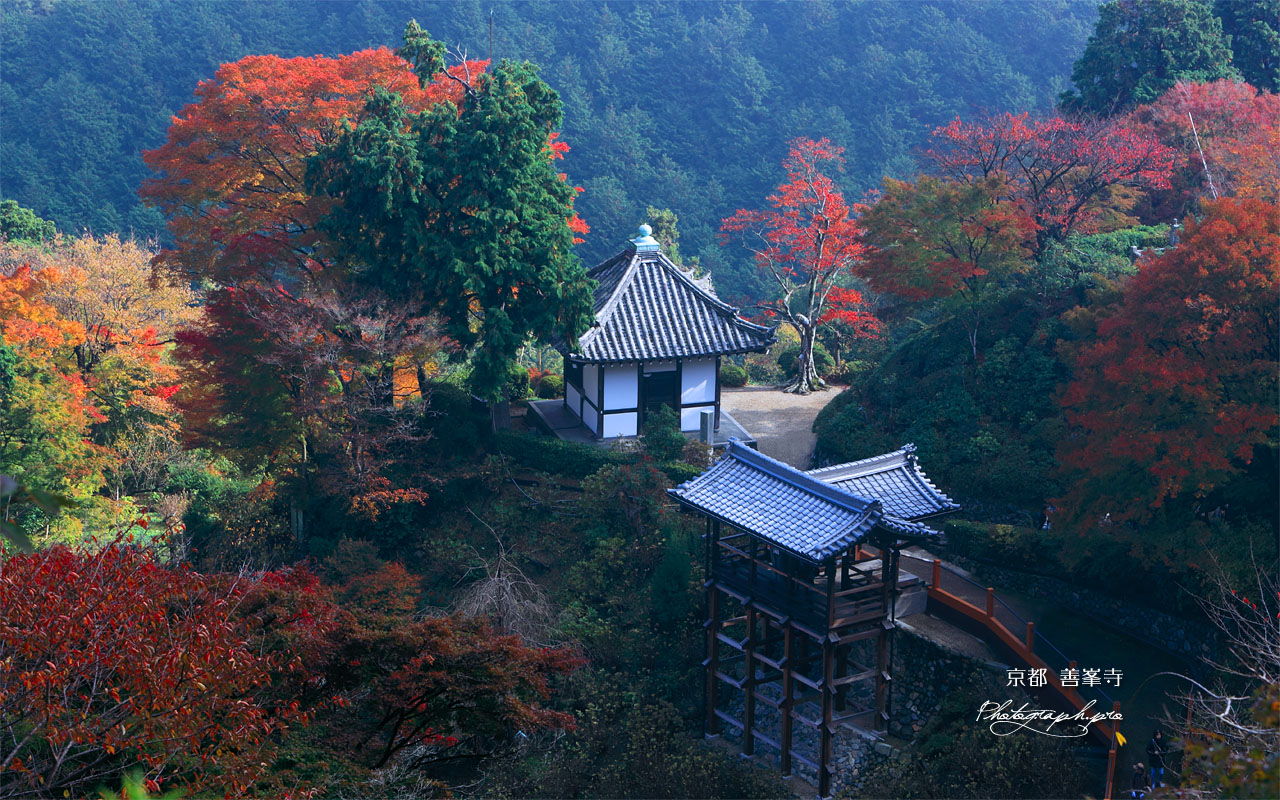 善峯寺の開山堂と幸福地蔵堂 壁紙
