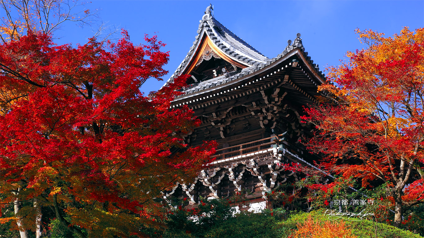善峯寺の紅葉の山門 壁紙