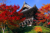善峯寺の紅葉の山門