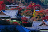 向かいの山からの善峯寺