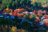 極彩色の善峯寺境内