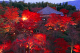 将軍塚大日堂と紅葉ライトアップ