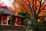 京都金蔵寺 紅葉の仁王門