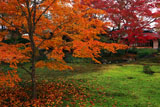 宝厳院 散紅葉と書院