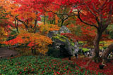 宝厳院 紅葉と碧岩