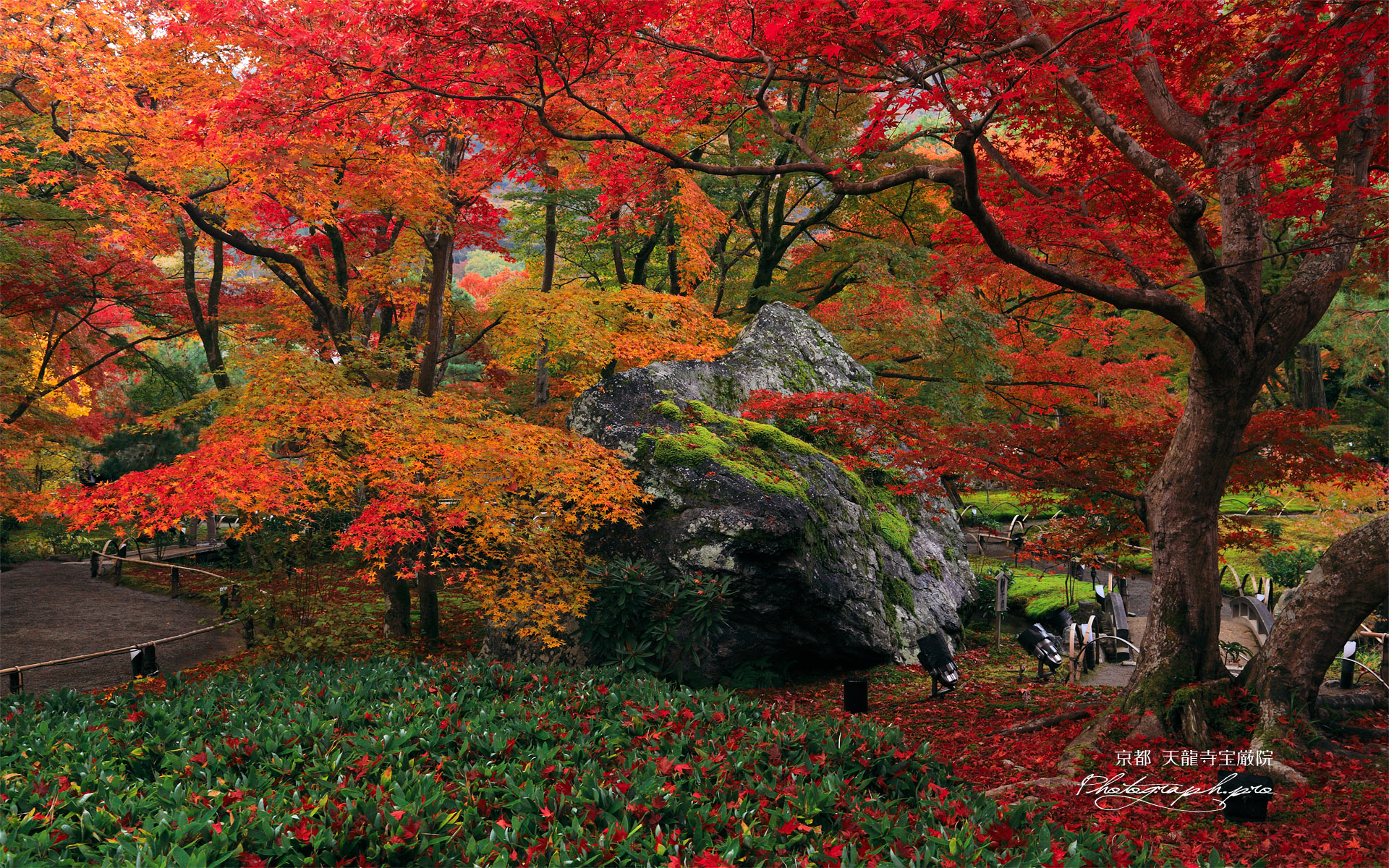 宝厳院 紅葉と碧岩