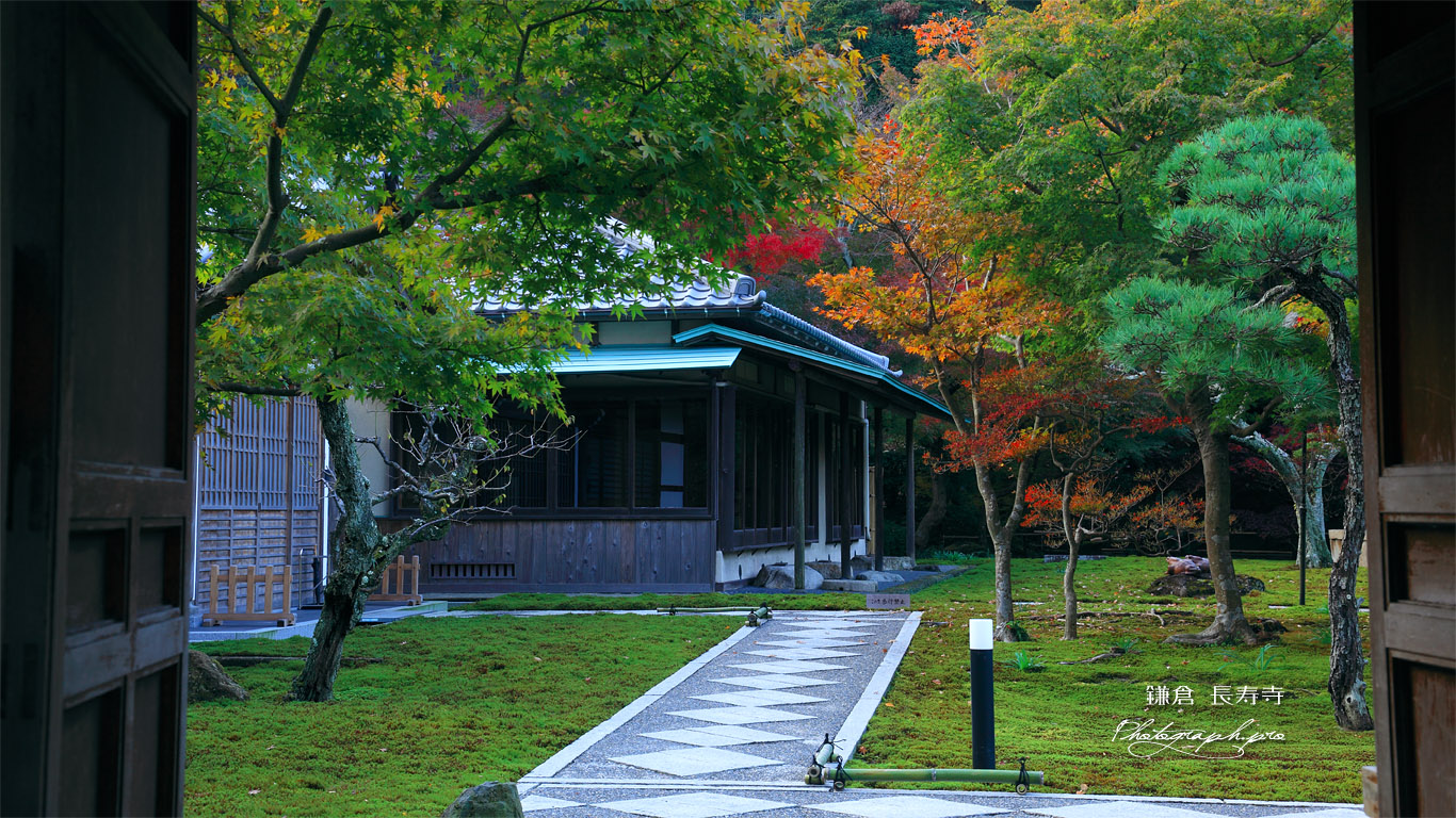 鎌倉長寿寺 薬医門から紅葉の方丈 壁紙