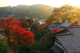 紅葉の円覚寺伝宗庵