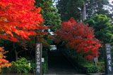 紅葉の円覚寺総門