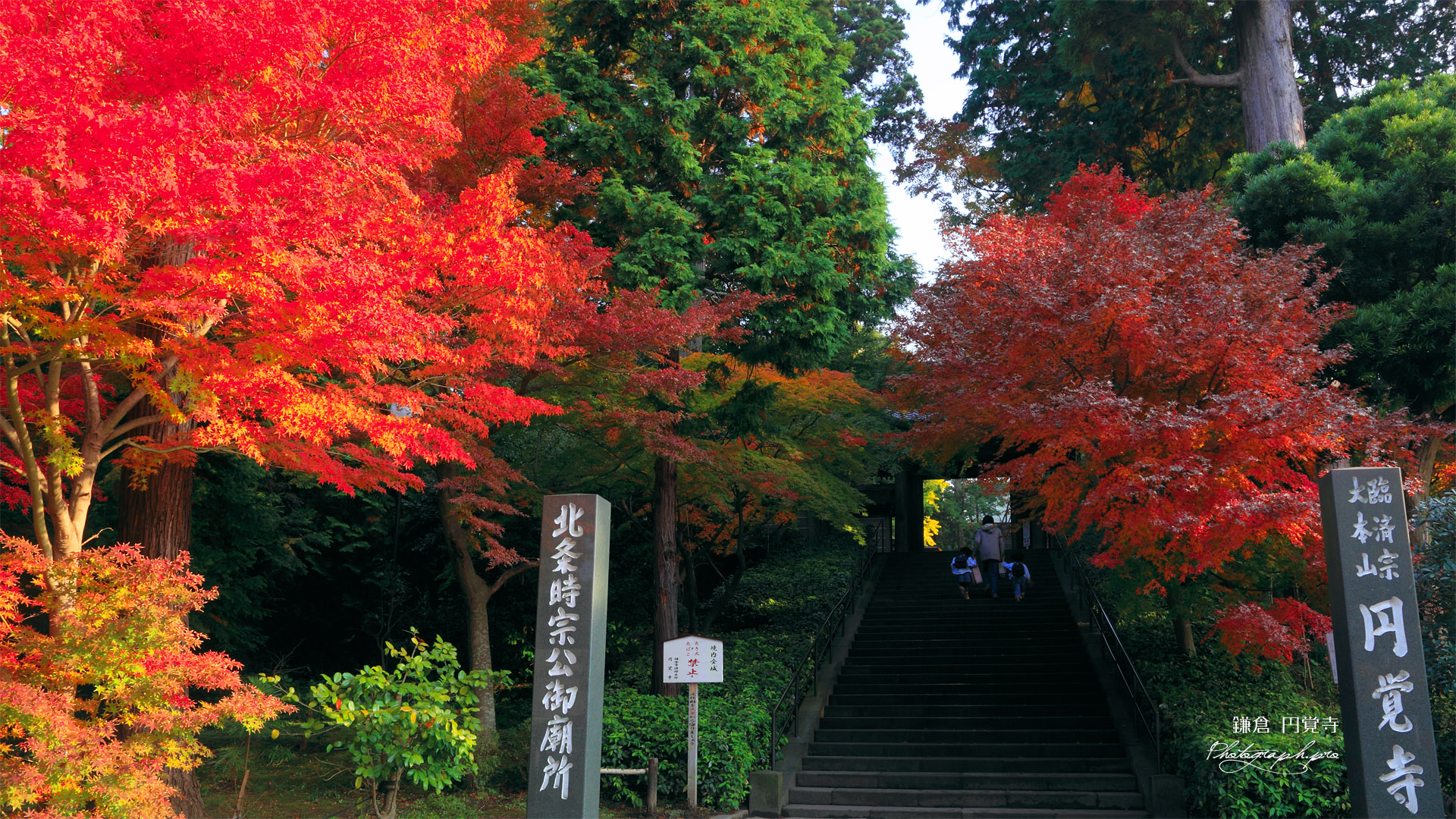 紅葉の円覚寺総門