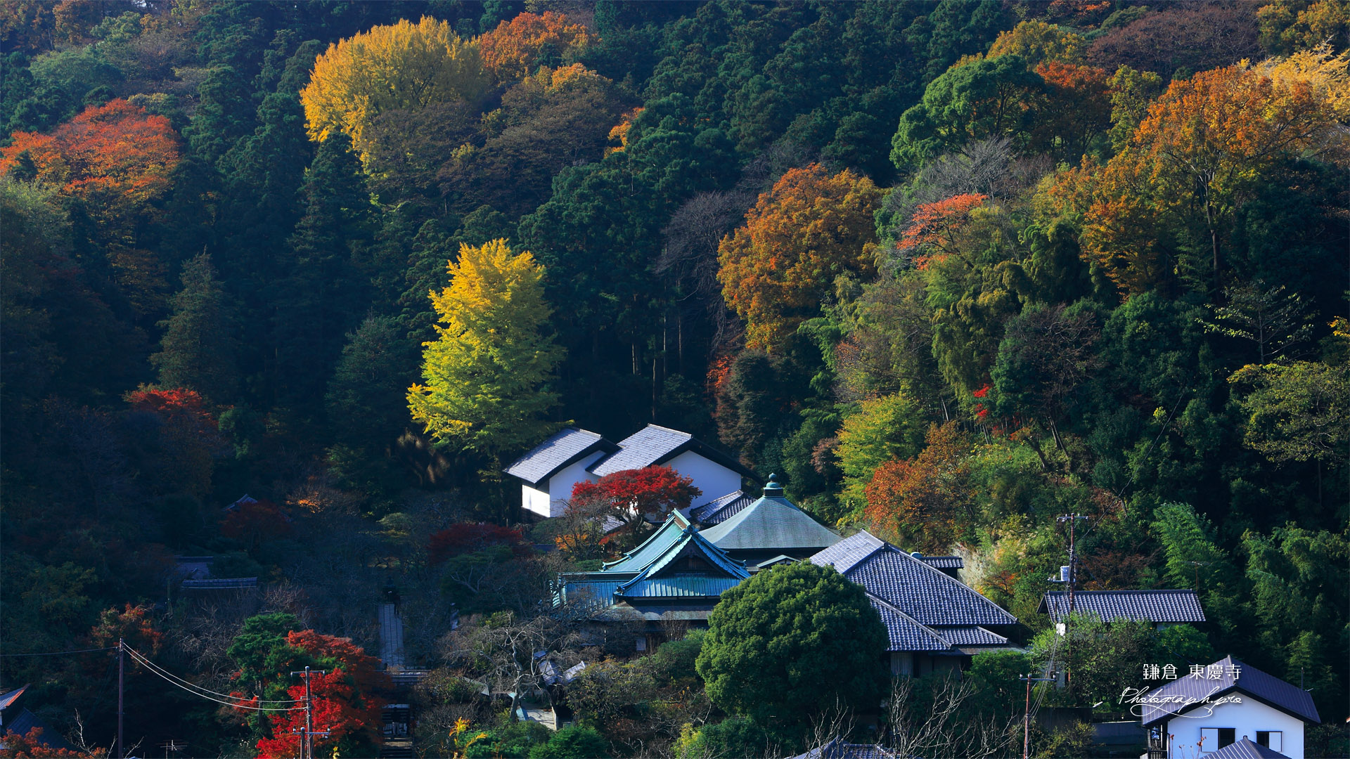円覚寺から紅葉の東慶寺