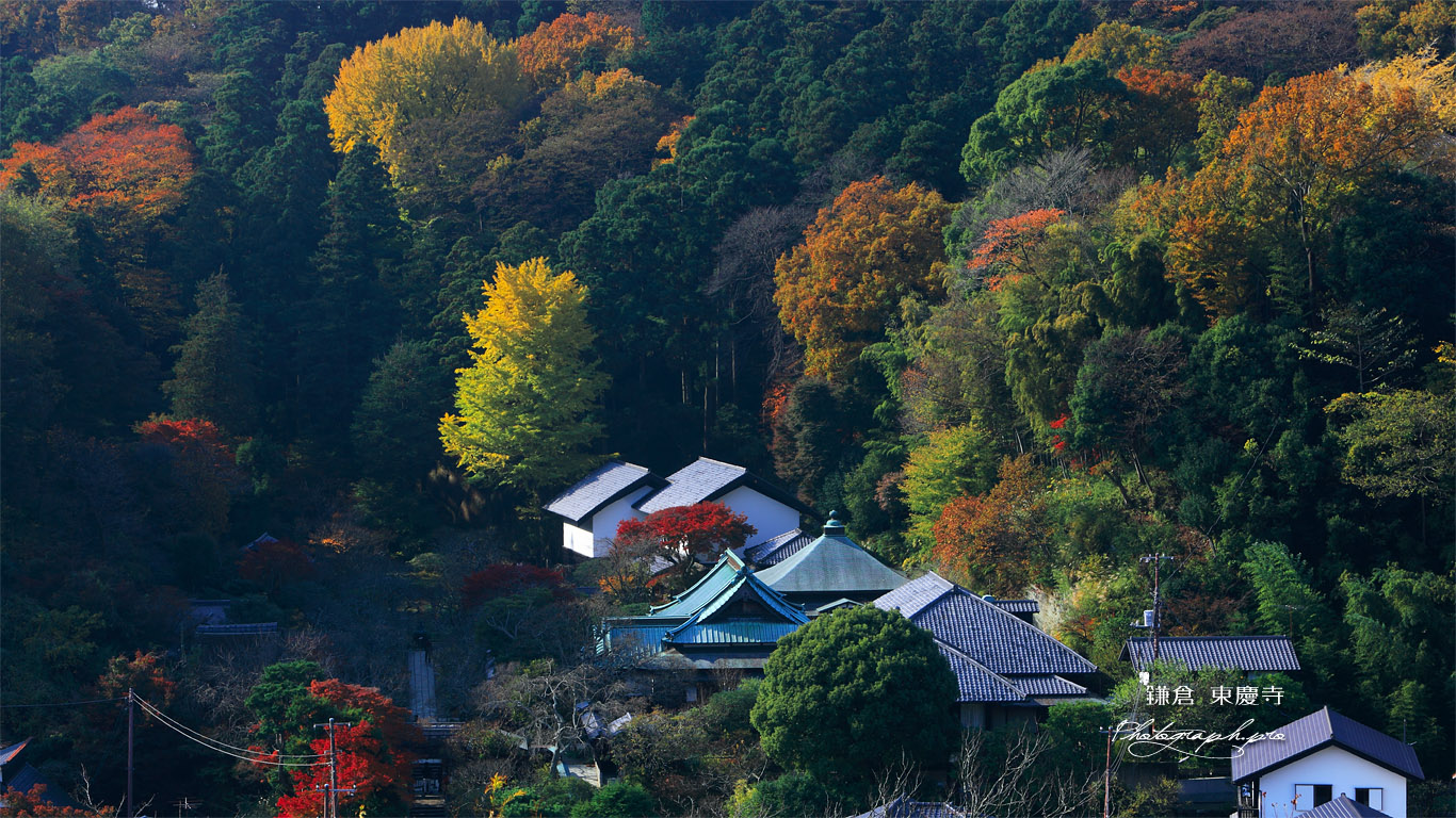 円覚寺から紅葉の東慶寺 壁紙