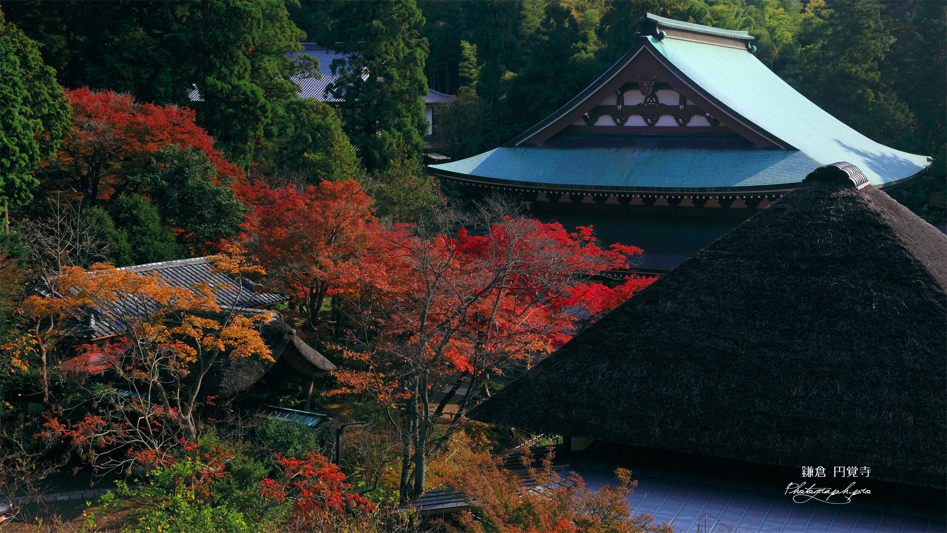 円覚寺龍隠庵から紅葉の境内