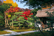 長寿寺
