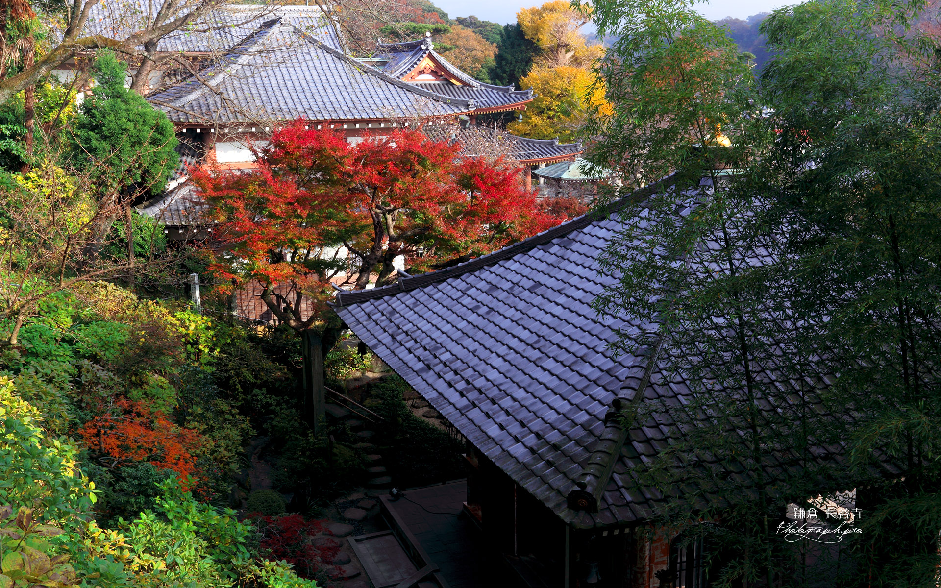 鎌倉長谷寺散策路から紅葉の境内