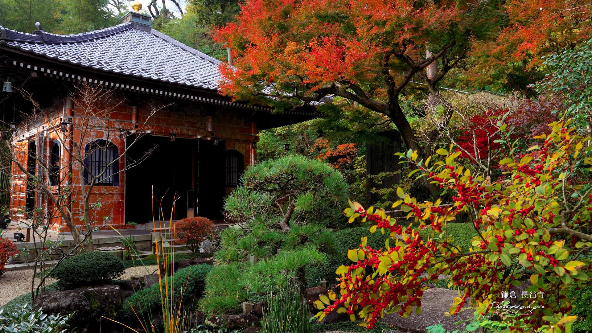 鎌倉長谷寺のウメモドキと経蔵