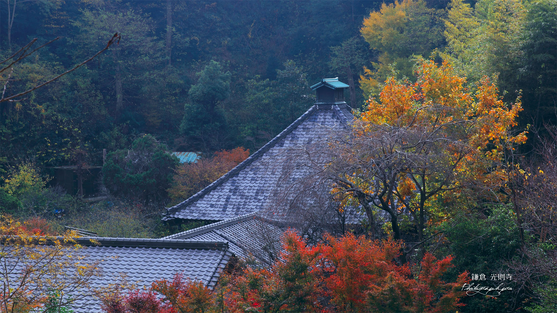 鎌倉光則寺の紅葉の堂宇